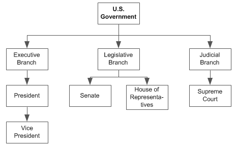 branches of government graphic organizer tree