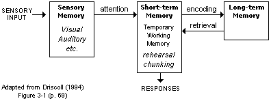 Information processing learning online theory